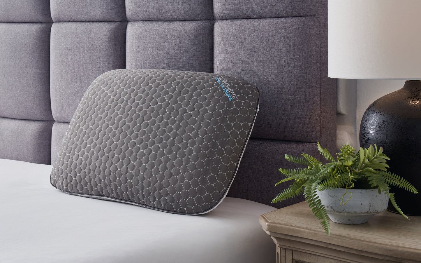 The Furniture Outlets - Ashley Furniture - Zephyr 2.0 Pillows - Graphene Contour Pillow (6/CS) / Dark Gray - M52113