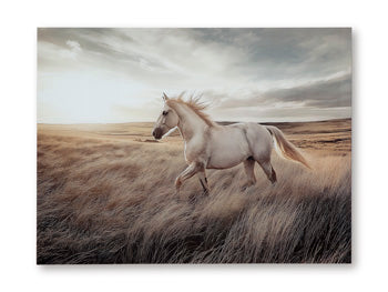 Errolville Wall Decor