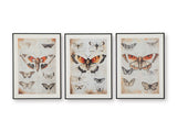 Wall Art Set (3/CN)