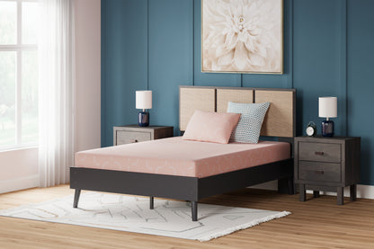 The Furniture Outlets - Ashley Furniture - iKidz Coral Mattresses - Twin and Pillow 2/CN / Coral - M43111
